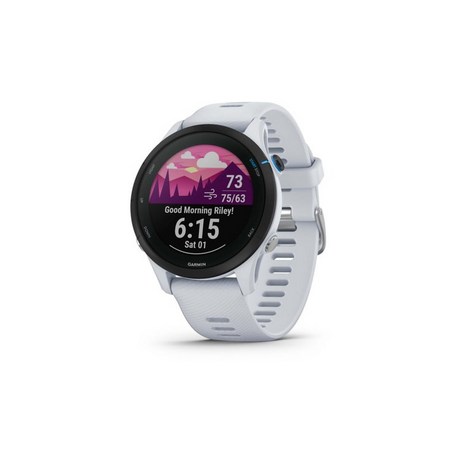 [관부가세포함] Garmin 가민 Forerunner 255 뮤직 46mm 시계, Whitestone_Whitestone-추천-상품