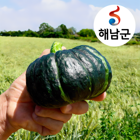 밤호박 - [해남] 땅끝 공중재배 못난이 미니밤호박 단호박 4kg 1박스, 1개