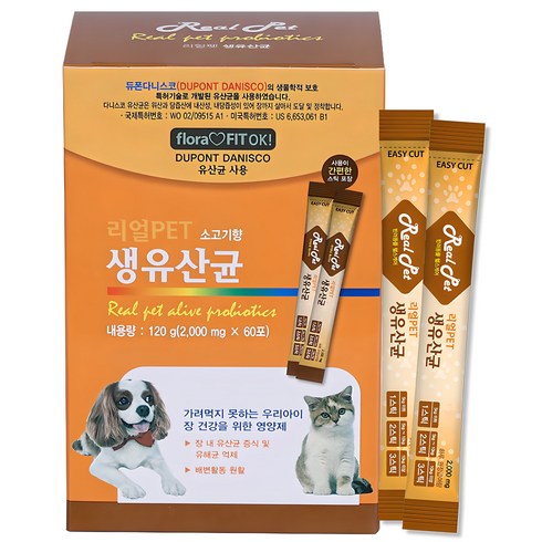 하루올데이강아지유산균 - 리얼PET 반려동물 생유산균 영양제, 소고기향, 120g, 1개, 장/유산균