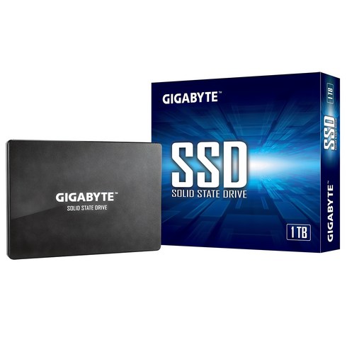 satassd - 기가바이트 SSD, GP-GSTFS31100TNTD, 1TB