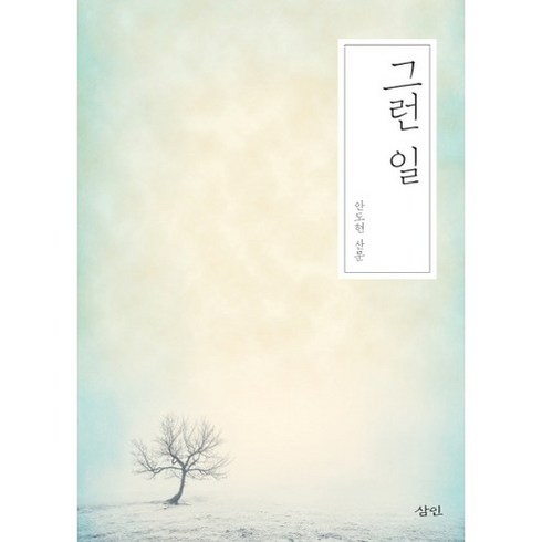 문정현프로레슨 - 그런 일:안도현 산문, 삼인, 안도현 저