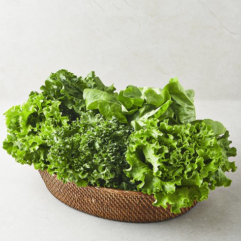 유러피안채소 - 친환경 유러피안 모둠 샐러드용 채소, 1kg, 1개입, 1개