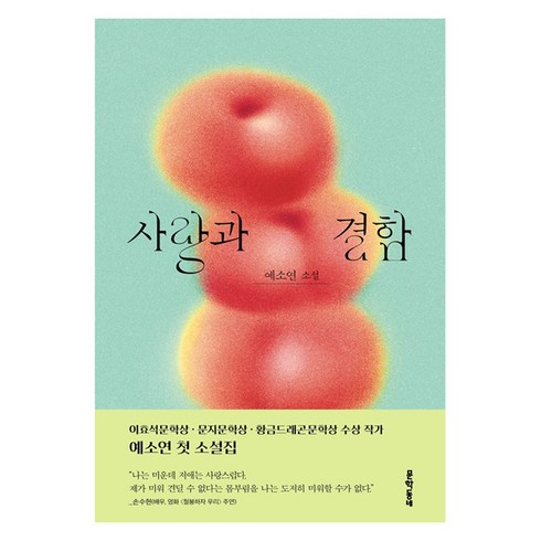 사랑과결함 - 사랑과 결함:예소연 소설, 문학동네, 예소연