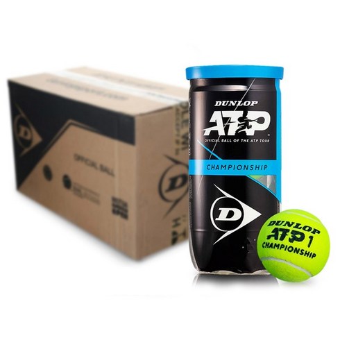 테니스원데이 - 던롭 챔피언십 ATP 시합 테니스공 2p, 옐로우, 36캔