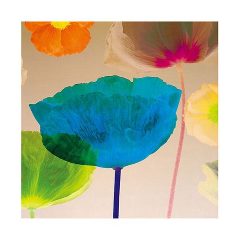 에스엠아이캔버스 액자, R.Mertens Poppy Panorama II (옆면색상 검정_무광)