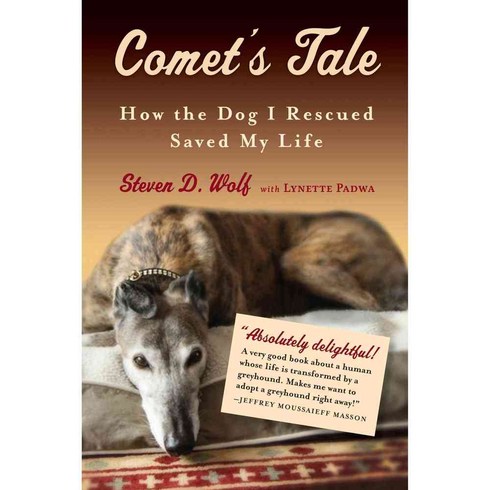 Comet's Tale: How the Dog I Rescued Saved My Life, Algonquin Books