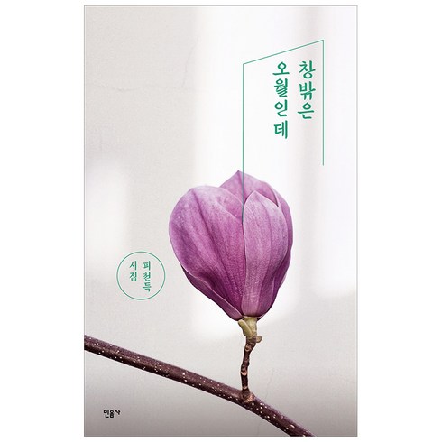 피천득인연 - 창밖은 오월인데:피천득 시집, 민음사, 피천득