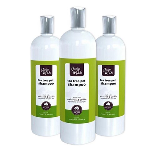 디바인 펫츠 티 트리 펫 샴푸, 250ml, 3개입