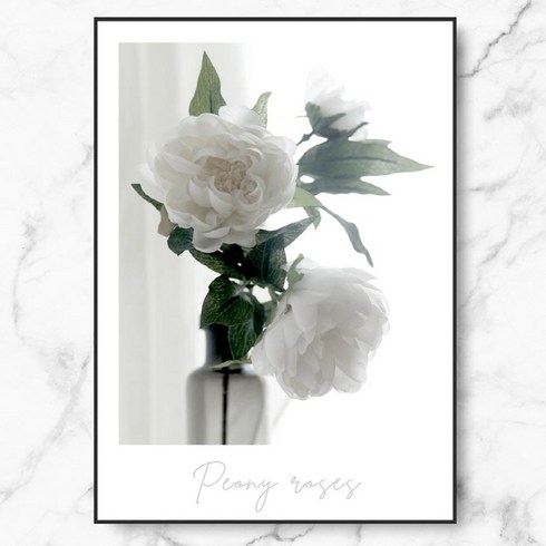 RYMD White Peony Roses 메탈 액자, 블랙