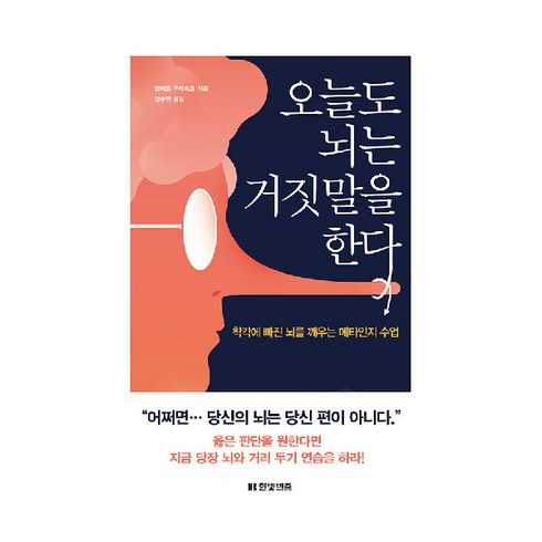 오늘도 뇌는 거짓말을 한다:착각에 빠진 뇌를 깨우는 메타인지 수업, 한빛비즈