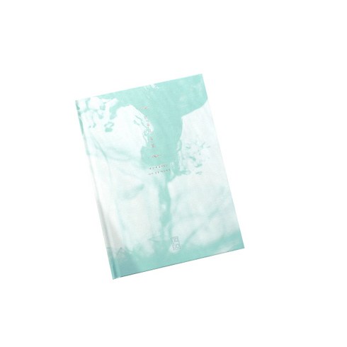 플레플레 TOP01