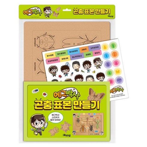 곤충표본 TOP01