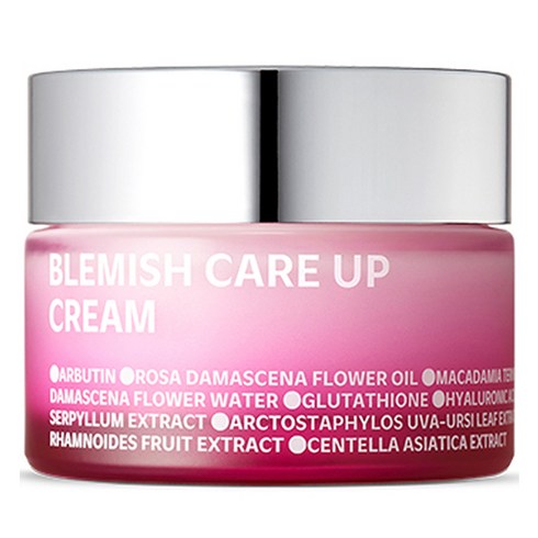 아이소이 블레미쉬 케어 업 흔적크림, 55ml, 1개