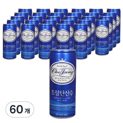 초정탄산수250ml 초정탄산수, 250ml, 60개