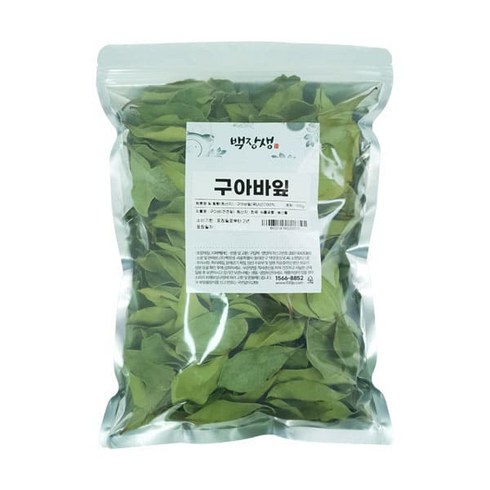 구아바잎 TOP01