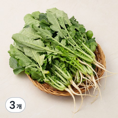 열무 - 국내산 열무, 1.2kg, 3개