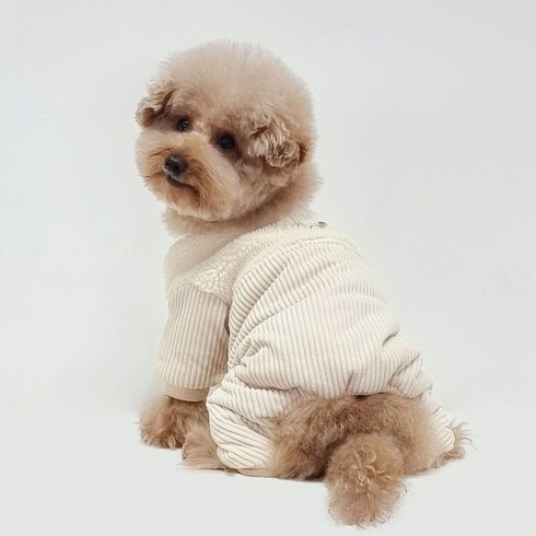 강아지패딩 TOP01