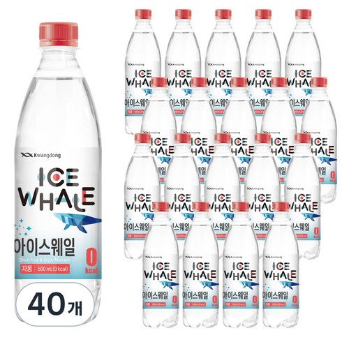 광동제약 아이스웨일 자몽 탄산음료, 500ml, 40개