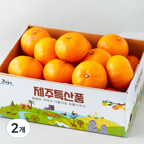 가족 못난이 천혜향 랜덤과, 3kg, 2개