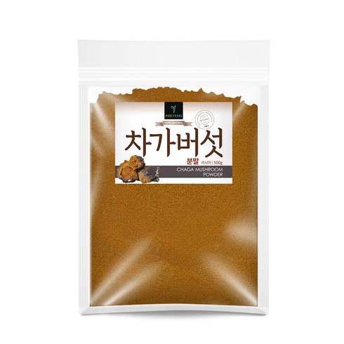 차가버섯분말 - 퓨어영 러시아 차가버섯 분말, 1개, 500g