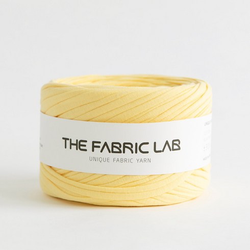 THEFABRICLAB 패브릭얀 뜨개실 300g, 001 레몬버베나, 1개