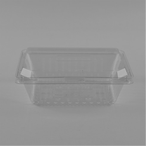 301-7 과일 PET 용기 220 x 165 x 80 mm, 350개