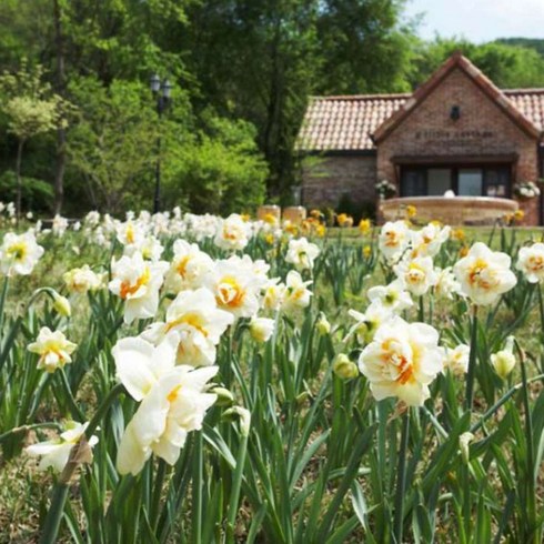 [강원] 출발확정 04/28 춘천시티투어_춘천 제이드가든+이상원미술관+청평사&구성폭포+춘천닭갈비골목