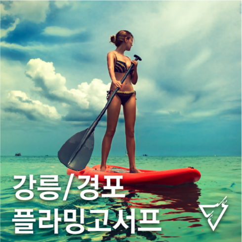 [강릉] 경포 해변 강릉서핑 배우기 플라밍고서프 입문자 서핑 강습 렌탈