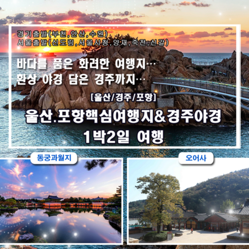 경주야경투어 - [포항,경주,울산] 11/23출발유력〔지자체특가〕울산.포항핵심여행지&경주야경 1박2일