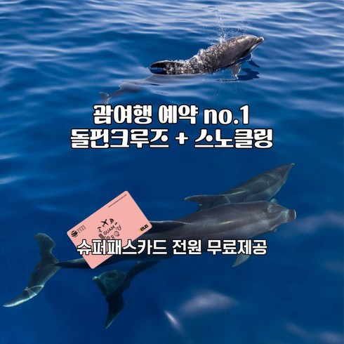 2023년 가성비 최고 부산크루즈여행 - [괌] 괌놀자 돌핀크루즈 전 시간대 오픈 한국인 인솔(크루즈+돌핀+스노클+낚시+참치회+맥주)