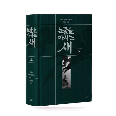 눈물을마시는새 - 눈물을 마시는 새 (상), 이영도 저/백성민 그림, 황금가지