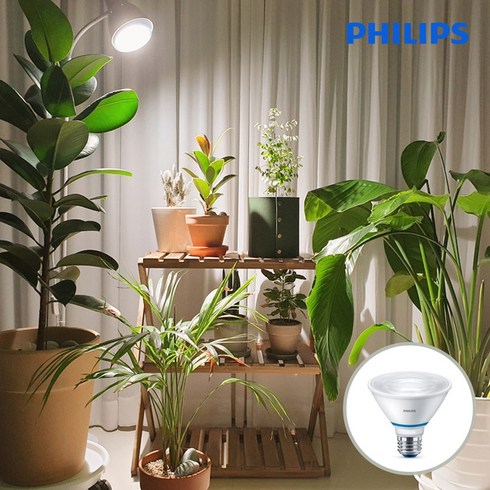 필립스 식물등 PAR30 스팟 LED 생장등 테라리움 다육이 식물램프(스탠드 미포함), 필립스 PAR30 스팟 LED 식물등, 필립스 PAR30 스팟 LED 식물등