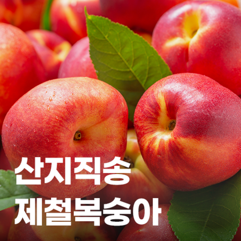 2023년 가성비 최고 천도복숭아 - 그해푸릇, 천도 복숭아, 소과 1kg (11-14과), 1개
