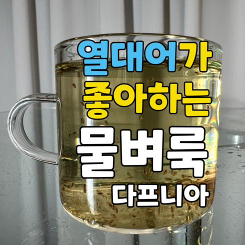 물벼룩 다프니아 500마리, 1개, 500ml