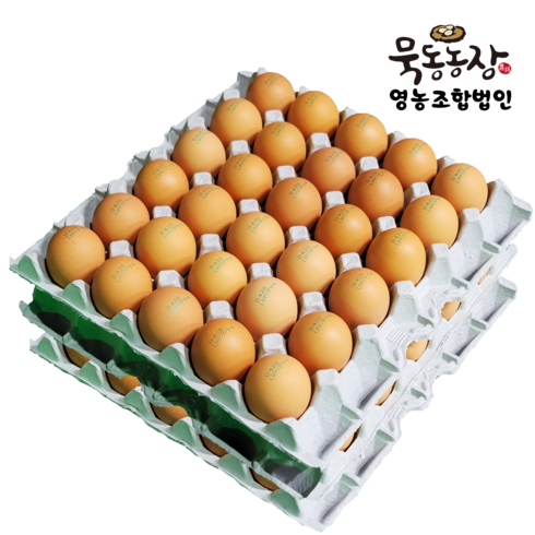 에그3 - 오늘낳은 무항생제 HACCP 특란 90구 무정란 생 계란 (30구x3판), 30구, 3개