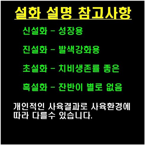 설화 체리새우 블러드메리 골든백 블루벨벳 새우 먹이 4종(진설화 초설화 신설화 흑설화), 1개, 80g