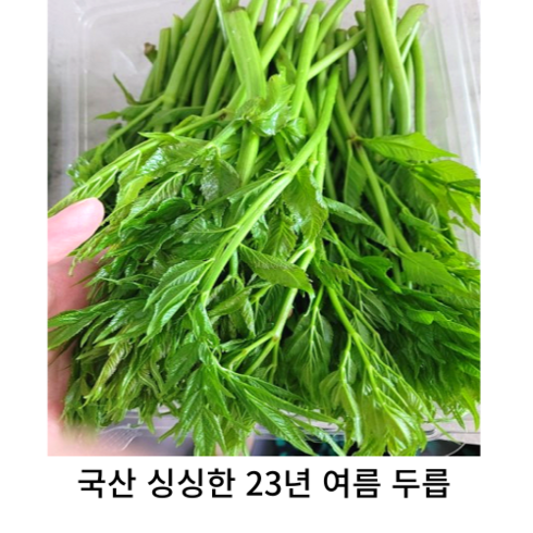 참두릅 - 국산 2023년 여름 햇두릅 1kg 2kg 두릅나물 국내산 드릅 새순 두릅 독활나물 봄 산나물 제철나물 참두릅 봄나물 여름나물, 4개