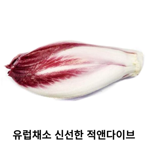 트루다이브 - 싱싱한 특품 적앤다이브 유럽 채소 100g 500g 1kg 적엔다이브 레드앤다이브 특이한 채소 샐러드채소 신선포장, 1개