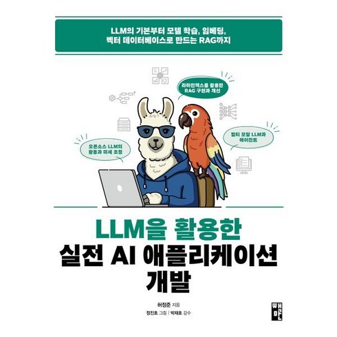 LLM을 활용한 실전 AI 애플리케이션 개발:LLM의 기본부터 모델 학습 임베딩 벡터 데이터베이스로 만드는 RAG까지, 책만, 허정준 저/정진호 그림/박재호 감수