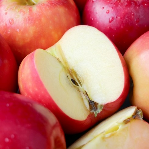 초고당도 18brix 최고급원조품종 가정용 사과부사, 1박스, 2.5kg내외(중과)