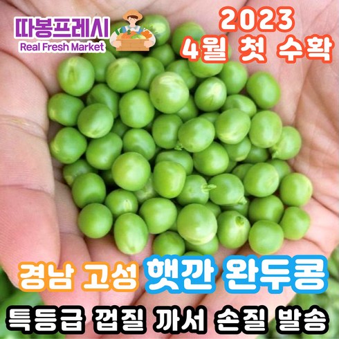 따봉프레시 국내산 2022 햇깐 프리미엄 완두콩 이유식용 요리용, 햇깐 완두콩 500g, 1개