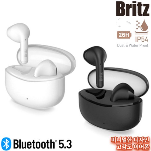 브리츠 BR-E1pro 블루투스 이어폰, 블랙