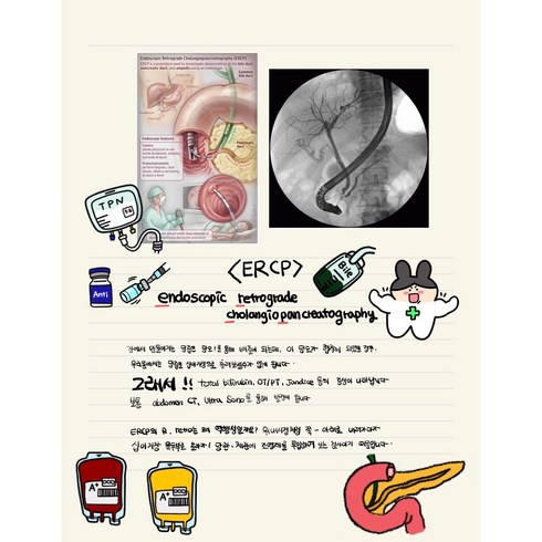 굿노트필기노트 - [굿노트용] 일정 노트필기 스티커 10장 병원스티커 아이패드 갤럭시 PNG파일