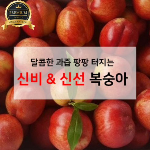 신비복숭아 - 고당도 신비 신선 천도복숭아, 신선복숭아 중대과 1kg, 1개