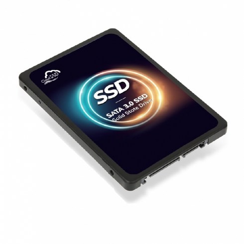 한창코퍼레이션 CLOUD SSD 2.5 SATA3, 256GB