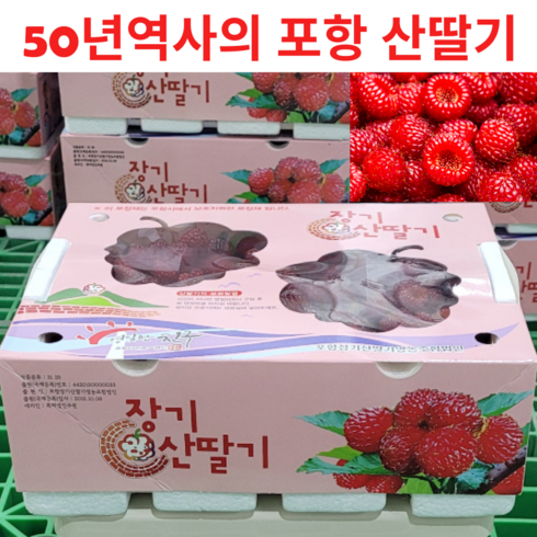 산딸기 - 50년역사 고당도 GAP인증 산딸기, 1박스, 500g