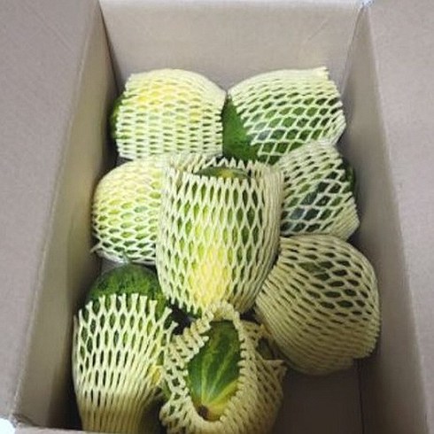 [믿고마트] 파파야메론 개구리참외 산지직송 고령 성산메론 5kg 2kg, 파파야 메론 2kg 8-10과, 1개