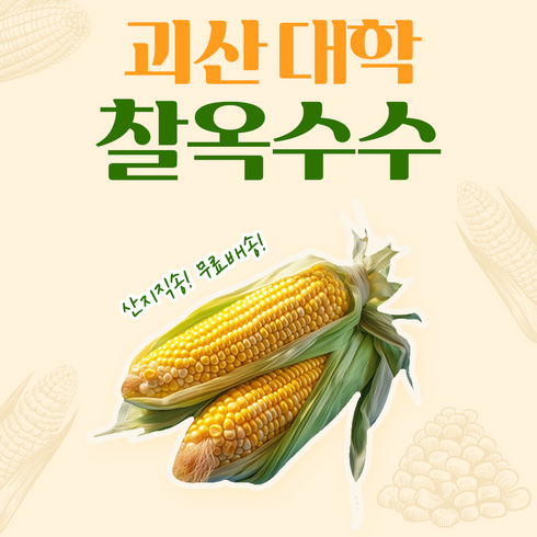 괴산 대학 찰옥수수 21개 또는 15개, 마지막 대학 찰21개