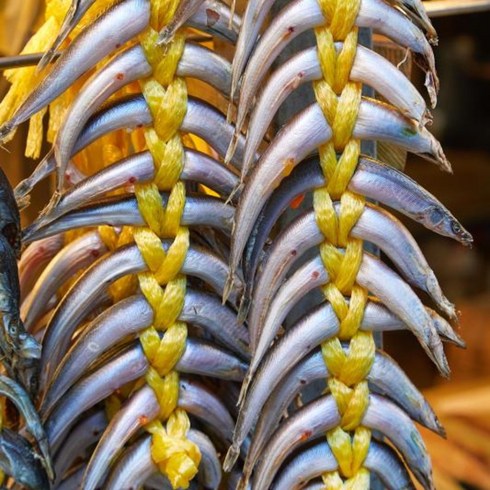동해청정 국산 햇 양미리 반건조 역거리 속초 고성 묵호 까나리 생선 구이, 1.45kg 내외(40마리), 1개