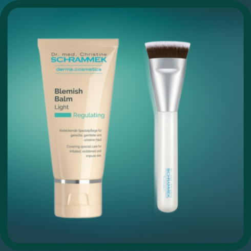 슈라멕비비크림 - 닥터슈라멕 BB 라이트 40ml+정품 전용브러쉬, 1개, 40ml